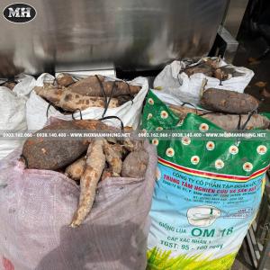 Máy Rửa Và Lột Vỏ Củ Quả