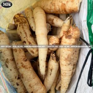 Máy Rửa Và Lột Vỏ Củ Quả